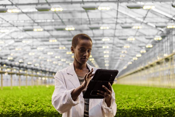 En kvinde i et industrielt gartneri, hvor hun står med en ipad og noterer